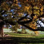 Bed & Breakfast Antica Pienza