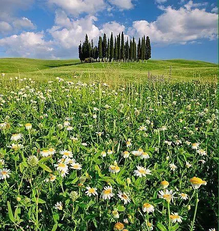 Antica Bed and Breakfast 3*