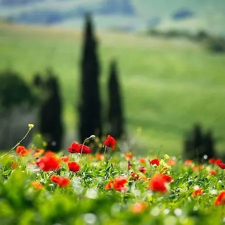 Bed & Breakfast Antica